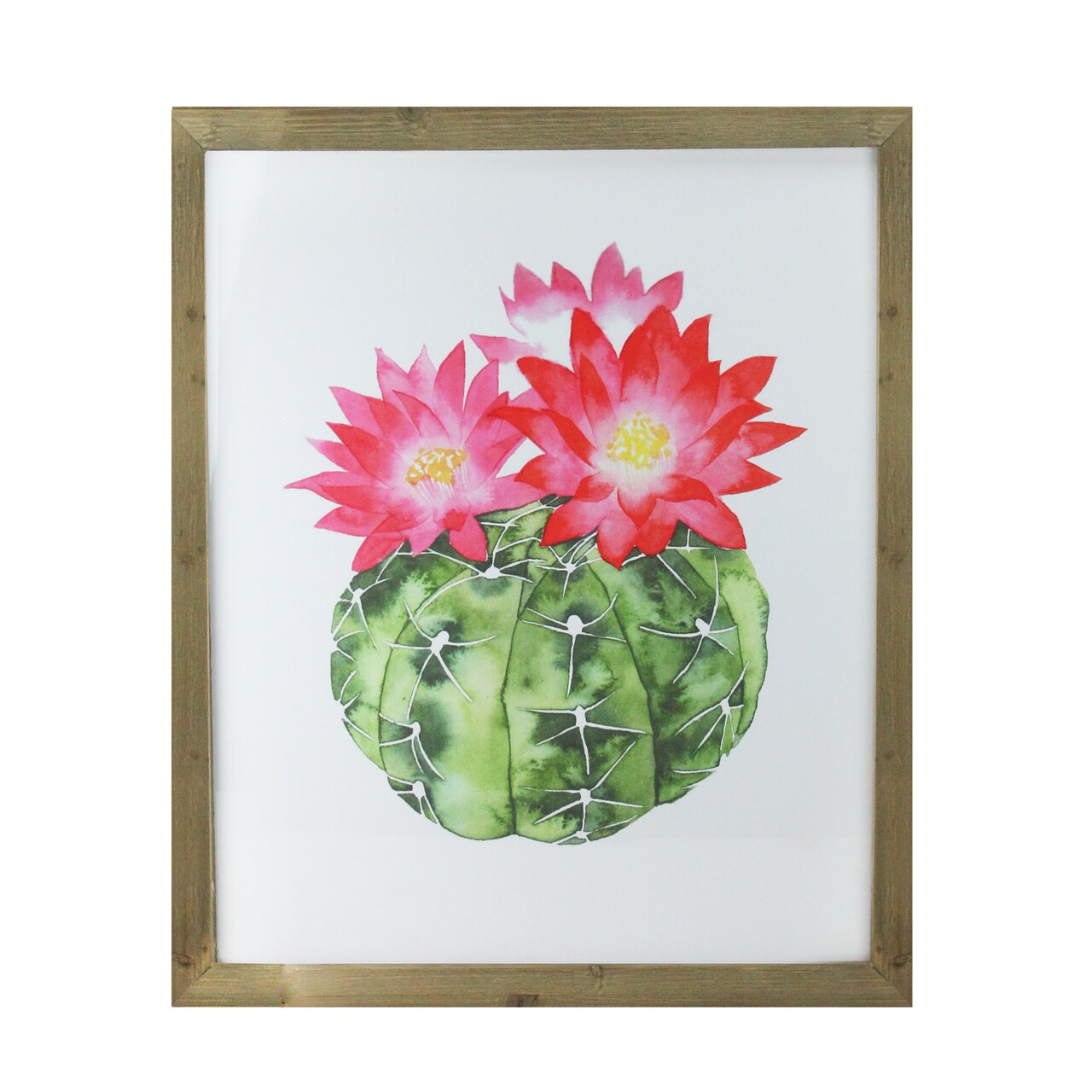 Raz 24" Green and Pink Cactus Decorative Wooden Framed Print Wall Art